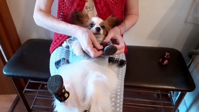 Собираемся на прогулку. Золушка потеряла туфельку. смотреть онлайн