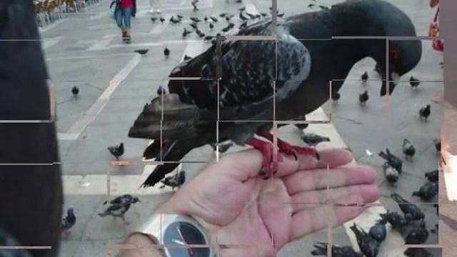 Венеция Карнавал, маски и водные каналы смотреть онлайн