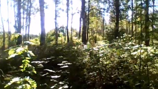 Сабераю грибы /в деревне смотреть онлайн