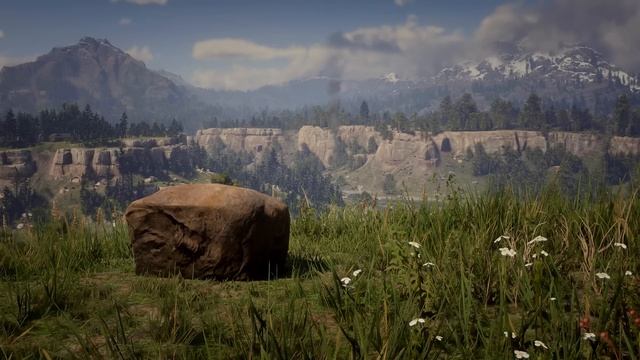 Hosea's Sickness - Red Dead Redemption 2 смотреть онлайн