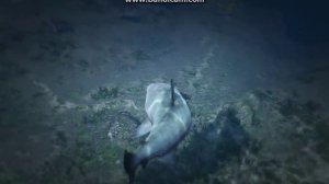 GTA5 лофофора под водой. Превращение в акулу!!!