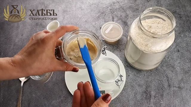 Пшеничная закваска 5 день смотреть онлайн