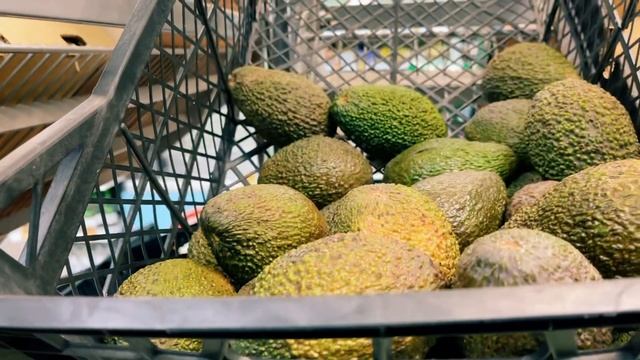 Мой любимый сорт авокадо? смотреть онлайн