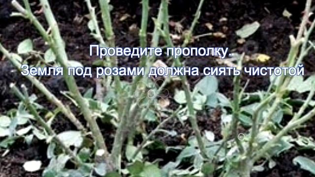 Стройка Формат