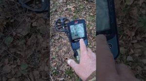 Эквинокс 900 после замены катушки