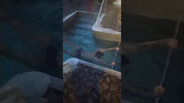 Крещение 2021/Окунаемся в прорубь/ Крещение Харьков Саржин Яр смотреть онлайн