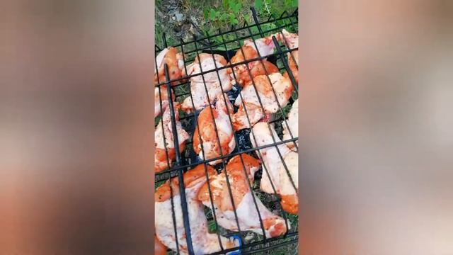 Шашлык на сосновых шишках смотреть онлайн