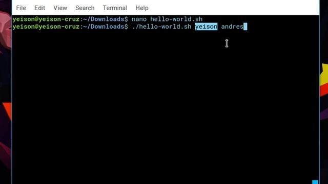 Bash - ¿ Cómo enviar parametros por consola ? смотреть онлайн