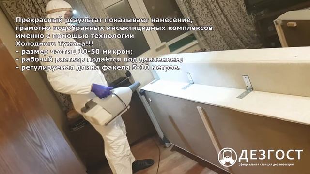 Клоп постельный. Профессиональное уничтожение. ДезГОСТ. смотреть онлайн