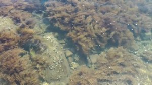 ОТДЫХ В КРЫМУ С ПАЛАТКОЙ. ГДЕ БЕСПЛАТНЫЕ КЕМПИНГИ В КРЫМУ. КЕМПИНГ ВОЗЛЕ МОРСКОГО В КРЫМУ. КРЫМ 202