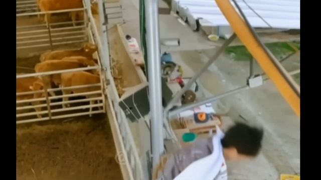 Когда ты не можешь держать язык за зубами ? смотреть онлайн