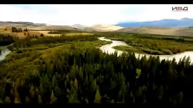 Пока цветёт папоротник смотреть онлайн