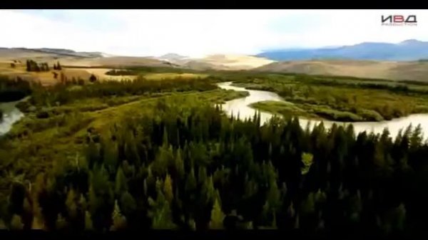 Пока цветёт папоротник