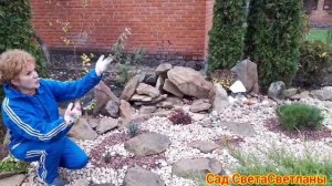 Отсыпка камнем.Создаем каменистый садик своими руками. МОИ СОВЕТЫ ПО ВЫСАДКЕ РАСтЕНИЙ.Я ЗА ХВОЙНЫЕ!