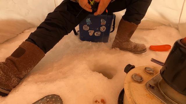 Рыбалка на налима! Fishing! Burbot! 4k! 02/01/2024 смотреть онлайн