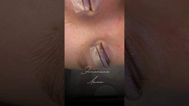 Эстетика лами ✨#ламинированиересниц #ресницы #наращиваниересниц #lashes #брови #тренды смотреть онлайн