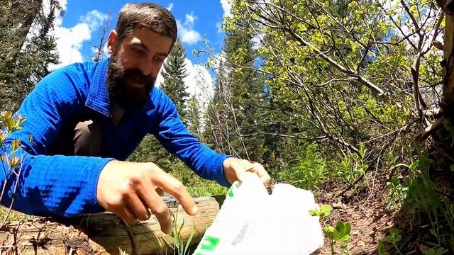 Edible Trail Side Plants every Rocky Mountain Hiker should know (early summer, late spring) смотреть онлайн