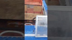 лодка днепр.