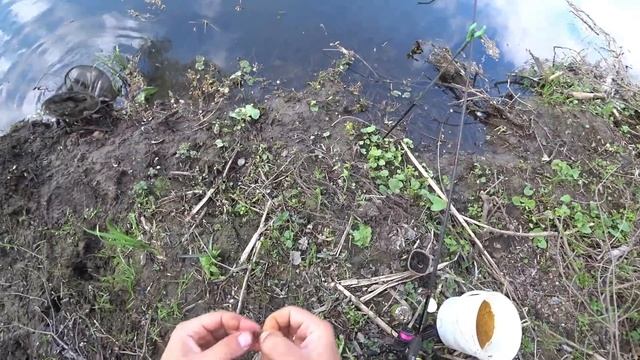 ПЕРВАЯ РЫБАЛКА НА ДОНКУ(ФИДЕР) В МАЕ НА РЕКЕ ВЕСНОЙ. смотреть онлайн