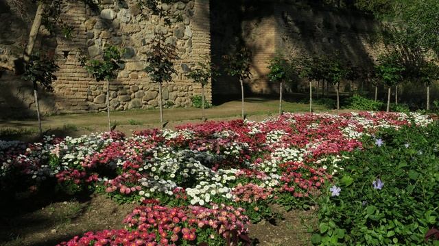 Alhambra de Grenade en 4K - Granada - Andalousie - Espagne смотреть онлайн