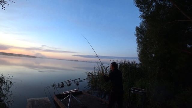 Карпфишинг. Pro Sport Karp   паровозы.