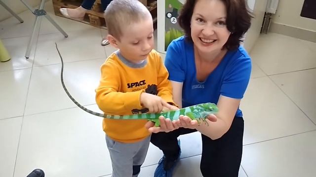 Странную ящерицу споймали в квартире. Кто такая Игуана? смотреть онлайн
