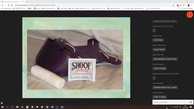 Профилактика и лечение ортопедических патологий сельскохозяйственных животных. Белогуров В. В.