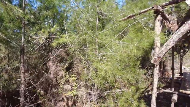 АЛАНЬЯ - ЛУЧШИЙ ОТДЫХ В ГОРАХ! МЕСТО, ОБЯЗАТЕЛЬНОЕ К ПОСЕЩЕНИЮ! / Alanya Dim Cay смотреть онлайн