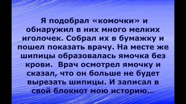 ШИПИЦА смотреть онлайн