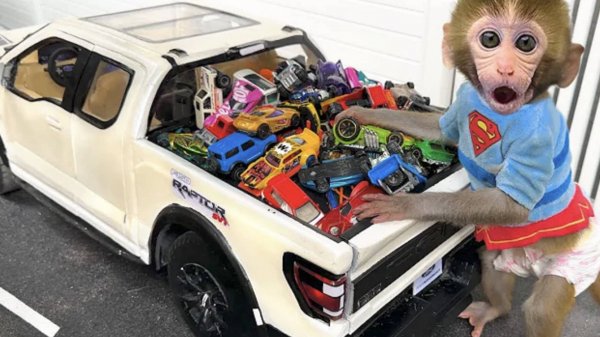 Обезьянка Малыш Бон Бон водит машину и играет со щенком и утенком у трассы
| ДЛЯ ДЕТЕЙ