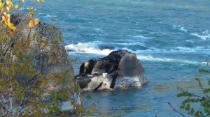 Тотальное обновление матки Исцеление от новообразований  Академик Сытин Г.Н.