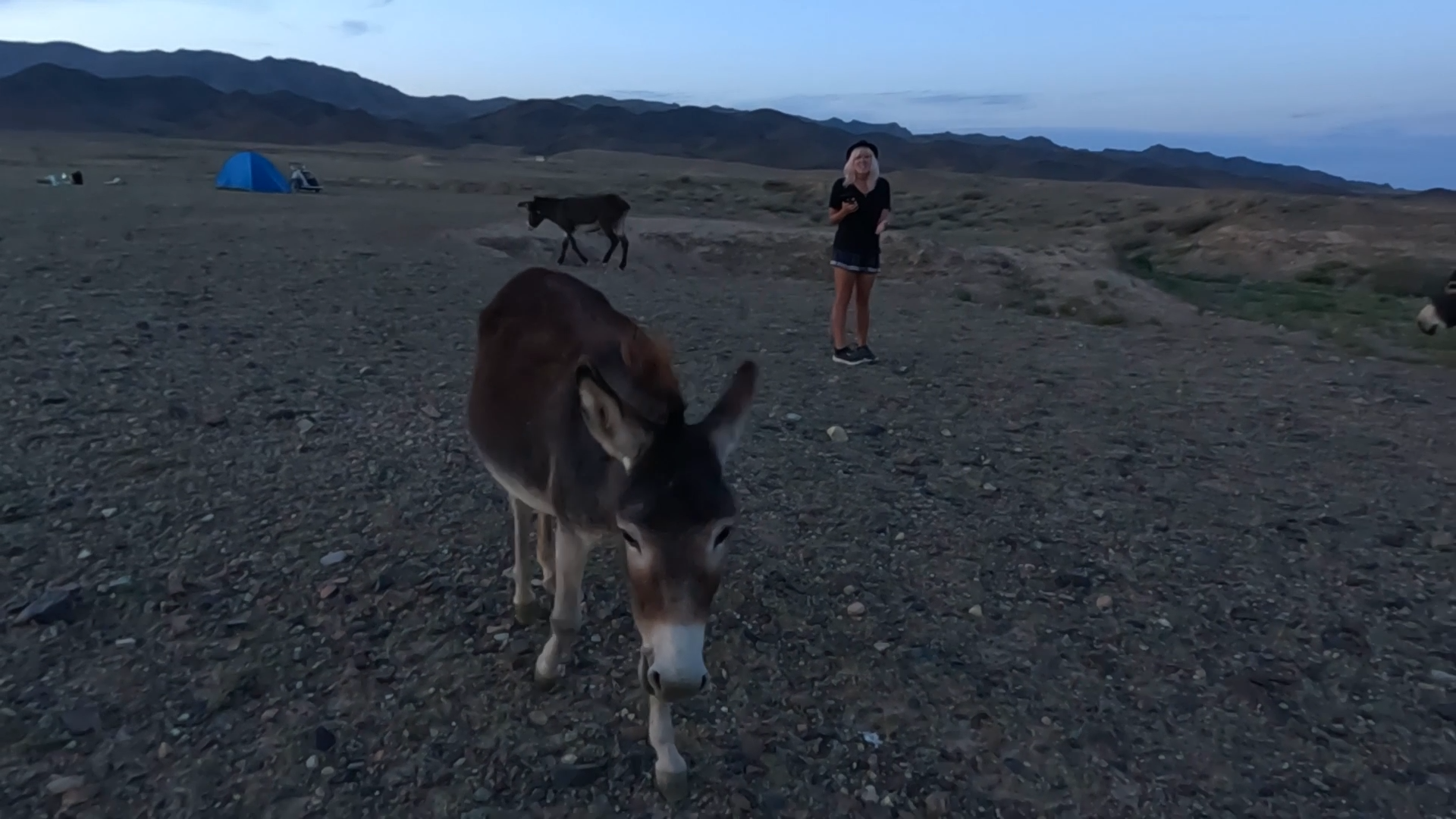 14.По Казахстану пешком. Дорога в сторону озера Кольсай 30.08