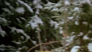 Старые добрые сказки