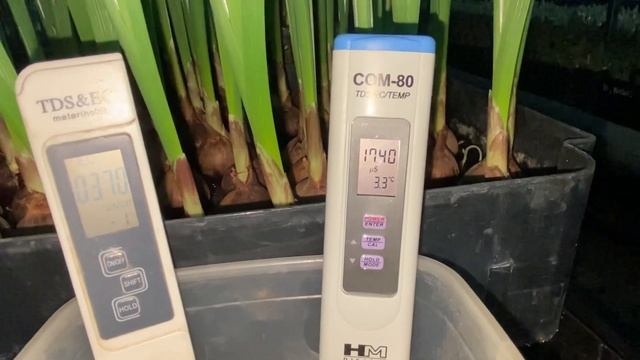 Раствор для гидропоники тюльпанов. EC-метры. смотреть онлайн
