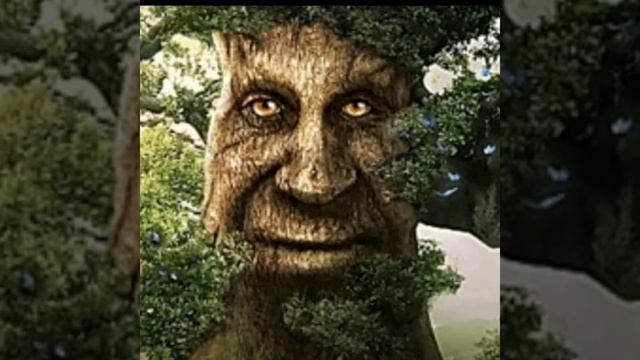 Wise Mystical Tree [1 Hour]