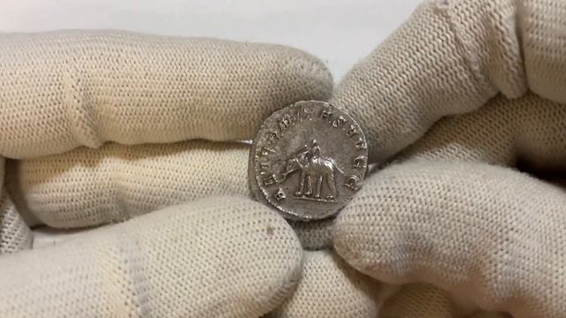 Антониниан Филиппа I Араба со слоном смотреть онлайн