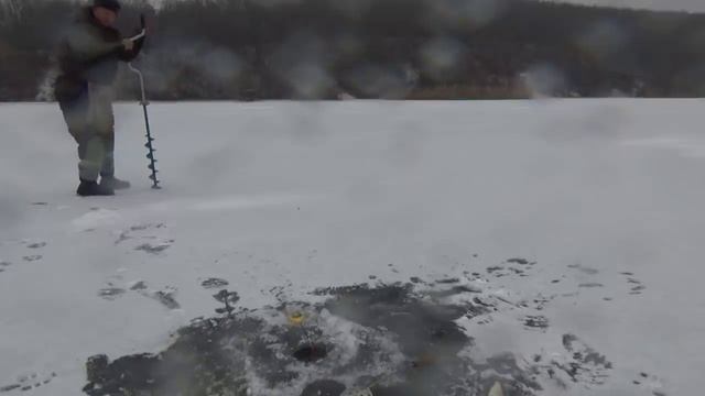 Поиск и ловля плотвы зимой на мормышку с мотылем Хотомля водохранилище смотреть онлайн