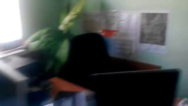 Цветы в кабинете 29 июля 2016 смотреть онлайн