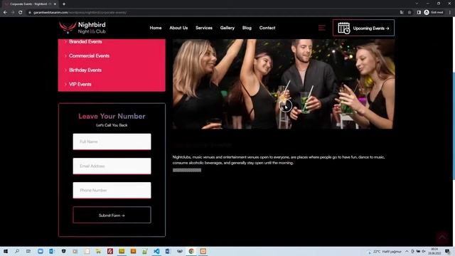 Nightbird - Night Club WordPress Theme смотреть онлайн