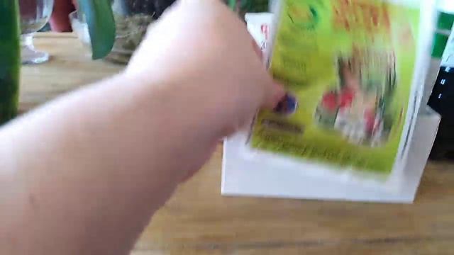 Комнатные цветы. Отвечаю на вопросы. смотреть онлайн