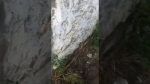 Что стучит, вот в чем вопрос или проблема Renault Logan