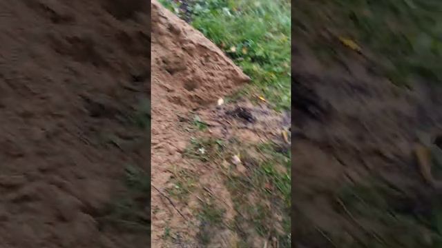 Осенние работы. Таскаем песок на грядки. смотреть онлайн