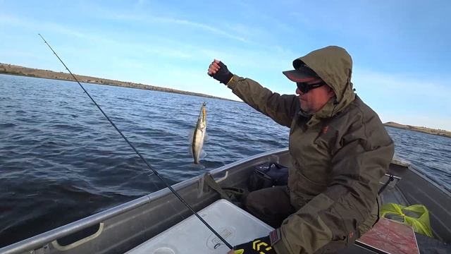 Рыбалка с Гидом. Мой 1-ый Гайдинг ▶ Fishing 2023 смотреть онлайн