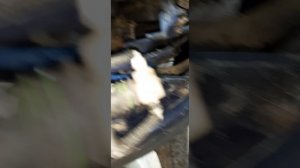 пассат б6, замена моторчика омывателя стекла без снятия бампера