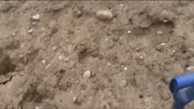 Редкая медная монета 1800 года 1/2 Крейцер смотреть онлайн