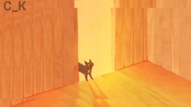 //Коты-Воители-Горелый-close eyes// смотреть онлайн
