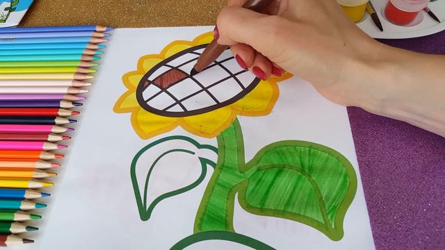 Залипательное видео для малышей Раскраска Подсолнух смотреть онлайн