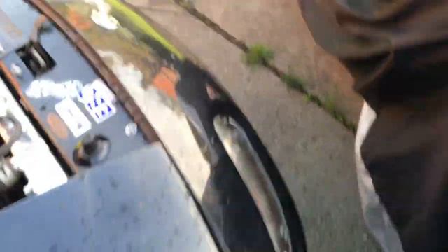 Mx5 Braided Clutch Line *Engine Bay Tuck* смотреть онлайн