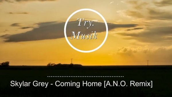 Skylar Grey - Coming Home [A N O  Remix] [1Hour]