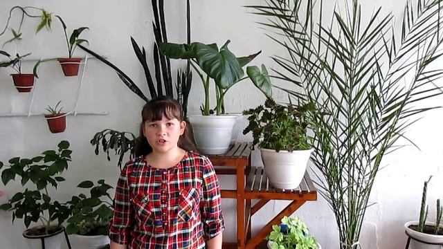 Страна читающая — Дарья Синицына читает произведение «Первый снег"В.Я. Брюсова смотреть онлайн